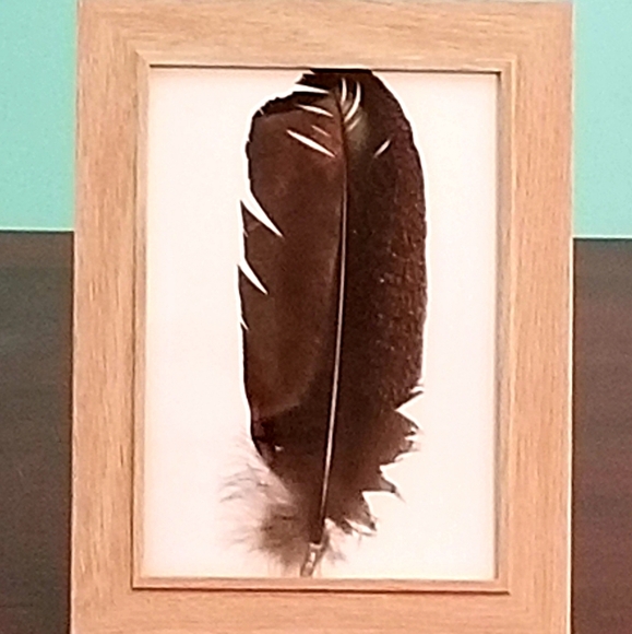 Turkey Feather Artwork in 5×7 wood Hang or Stand alone Frame/ Featherwork - Picture 6 of 6